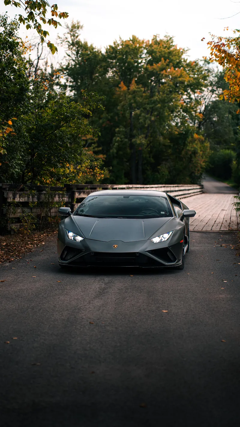 Lamborghini Huracán grise satinée sur une route bordée d’arbres